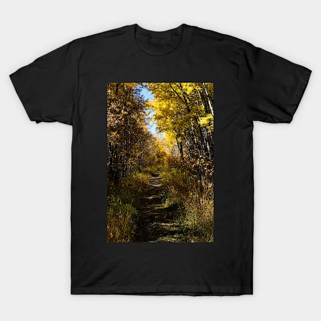 Hiking the trail T-Shirt by CanadianWild418